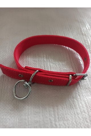 Büyük ve Orta Irk Köpek Tasması