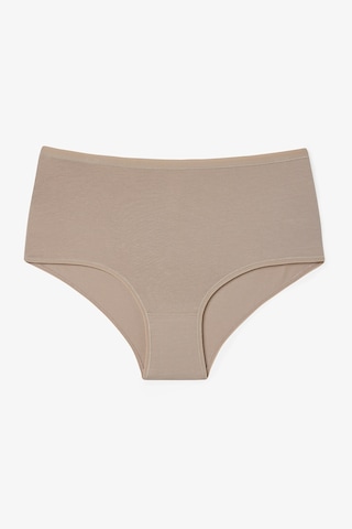 Penti Karışık Renk Mellow Spirit Yüksek Bel Pamuklu 3lü Slip Külot Çok Renkli