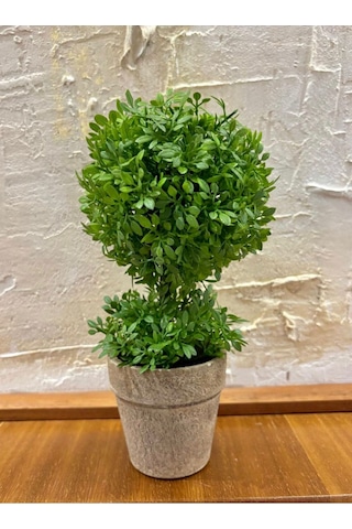 Geometrik Estetik: İkili Küre Formlu Canlı Yeşil Dekoratif Bitki 24 Cm X 10 Cm Yeşil