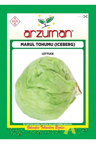 Arzuman Iceberg Marul Tohumu 5 G Arzuman Iceberg Marul Tohumu 5 G