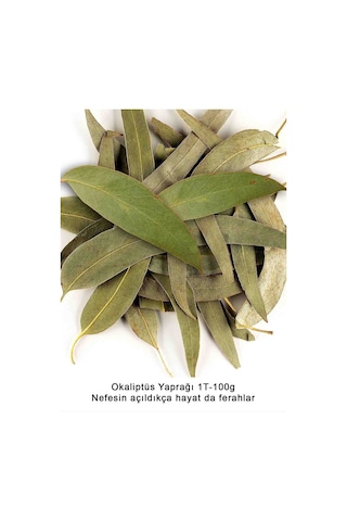 Okaliptüs Yaprağı 50g