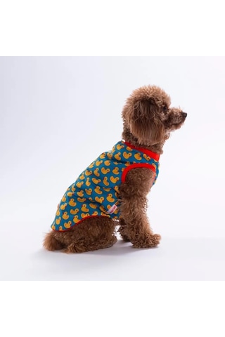Pawstar 26836 Ducks Tişört-20848