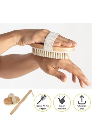 Doğal At Kılı Selülit Karşıtı Sapı Çıkabilen Ahşap Banyo Fırças Ahşap