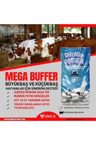 Diriliş Megabuffer 25 Kg