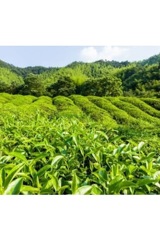 Sondem Siyah Dökme Çay 1000 Gr X 6'lı Avantaj Paket