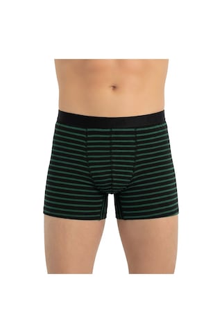Öts Erkek Pamuklu Boxer Çizgili Nefes Alan Doku 2610 Yeşil