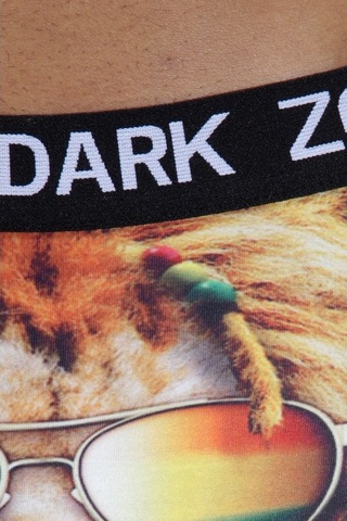 Darkzone Rastalı Aslan Desenli 3D Erkek Boxer - Dzn1081