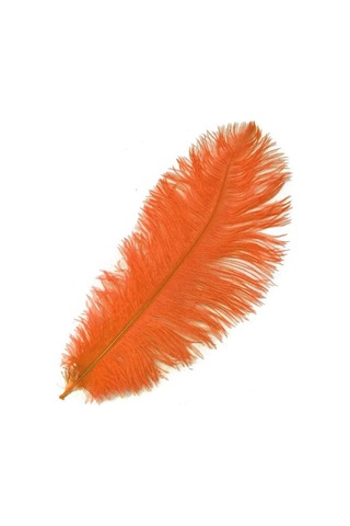 Kuzey Oyuncak 3 Adet Büyük Boy 35 Cm Turuncu Deve Kuşu Tüyü Orange Ostrıch Feather Vıp Dekor Turuncu Kuş Tüyü 5+