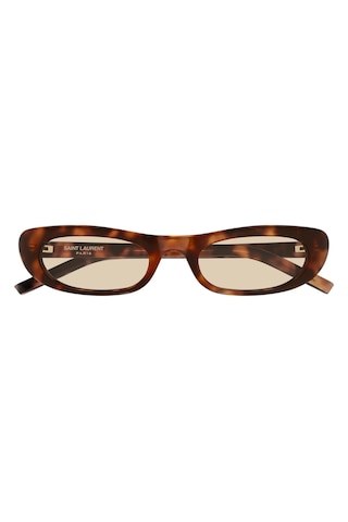 557 Shade 008 53-20-145 Saint Laurent Cat Eye Kadın Güneş Gözlüğü Kahverengi