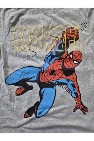 Hasyılmaz Marvel Spiderman 14-16 Yaş Çocuk T-shirt Mavi