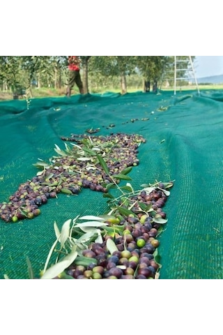 Morilu Zeytin Toplama Filesi Sergenlik Zeytin Yaygısı Yüzde 75'lik Zeytin Filesi Toplama Örtüsü