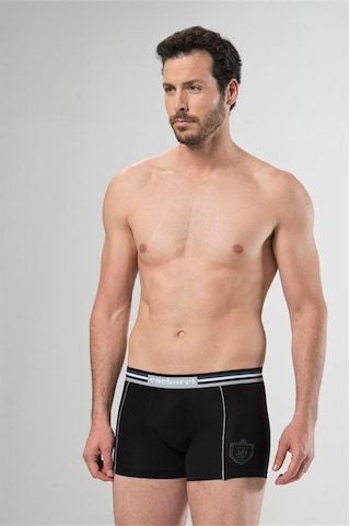 Cacharel 1323 İkili Boxer - Siyah/gri Melanj Siyah