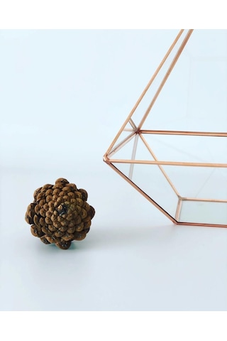 Dekoratif Cam Fanus - Geometrik Cam Fanus - Teraryum Cam Fanus (489240998)