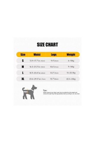 Wezone Yaşlı Ve Engelli Köpekler İçin Destekli Yürüyüş Askısı - Rahat Ve Ayarlanabilir Xl Boy Gri Tasarım Gri