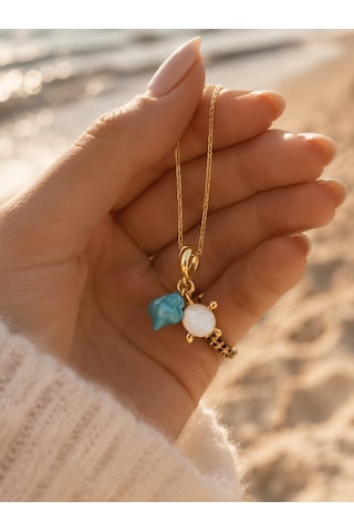 Altın Kaplama Kaplumbağa Charm Kolye