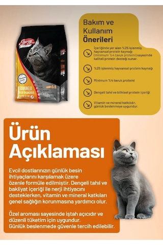 Energy Cat Food Tavuklu Yetişkin Kedi Maması 1kg