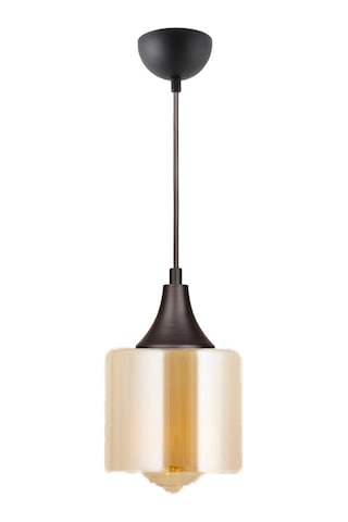 Tt029-1-Sy-Bal Tt Aydınlatma Mat Siyah - Bal Tekli Avize