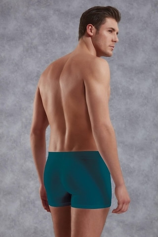 Doreanse 1777 Erkek Modal Petrol Boxer