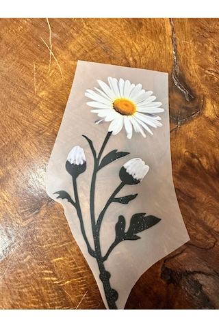 Ütü İle Yapışan Papatya Transfer Baskı Arma 18x9 Cm