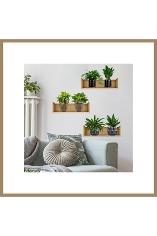Kahveci.store Raflı Bitki Tasarımlı Yapışkanlı Sticker 20 30 Cm 3lü Set Mc-663 22 Çok Renkli