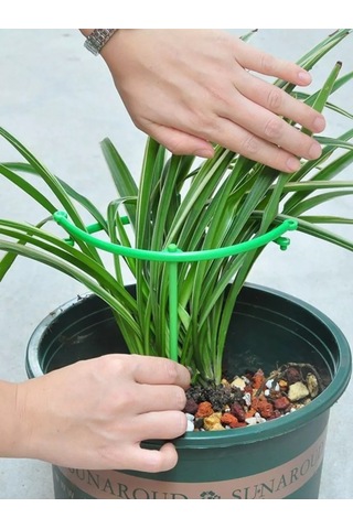 Catalea Family Bitki Destek Yuvarlak 8 Katmanlı 221270856