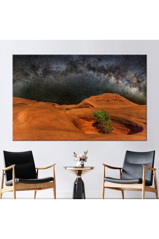 60x90cm 1 Parça Siyah Çerçeveli Kanvas Tablo