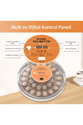 Altın Kuluçka-wonegg 30'lu Otomatik Kuluçka Makinesi