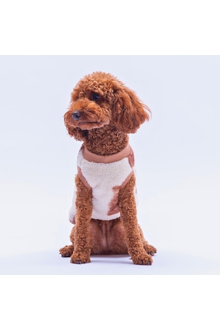 Poodle Paw Peluş Sweat Poodle Desenli Kedi Köpek Sweati Kedi Köpek Kıyafeti Köpek Peluş Kolsuz Sweat Sıcak Tutan Süveter