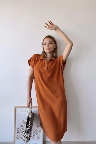 Kadın Kiremit Kısa Kol, Polo Yaka, Dokulu Desen, Basic Kalıp/kesim, Aerobin Rahat Midi Elbise Kiremit