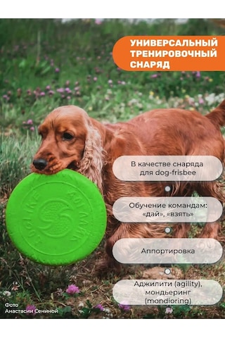 Doglıke Köpekler İçin Oyuncak - Uçan Frisbee Tabağı 25cm 97384967