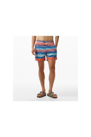 Speedo Plmt Leisure 16 Wsht Am Erkek Mavi Deniz Şortu 8-00319416451 Mavi