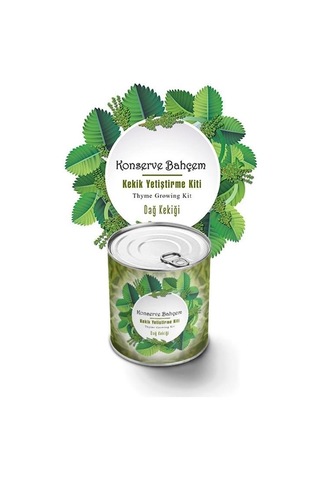 Buffer Konserve Bahçem Evde Konservede Kekik Dağ Kekiği Yetiştirme Kiti Mavi
