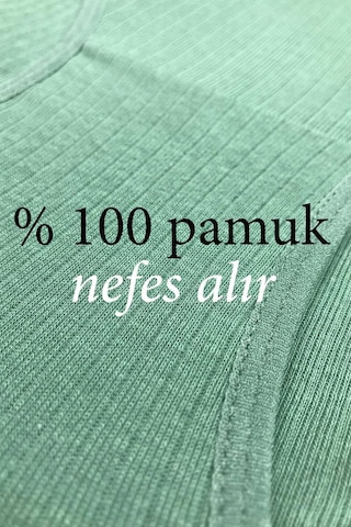 Royaleks 4 Adet Kadın Yüksek Bel Ribana Bato Külot S014 RYL-ARHMABT4014 Çok Renkli