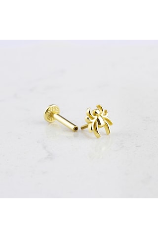 Glorria Altın Örümcek Tragus Piercing Altın