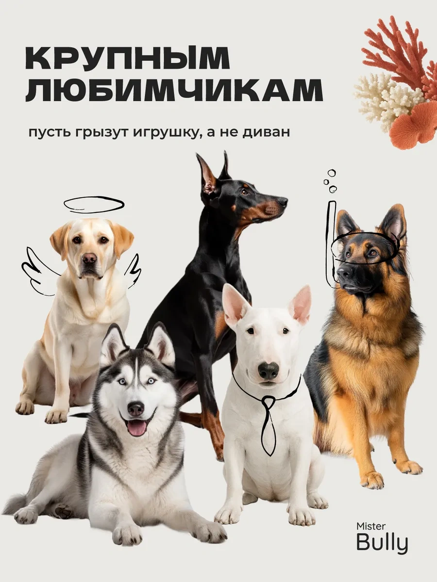 Misterbully Büyük Köpek Irkları İçin Dayanıklı Oyuncaklar 383850348