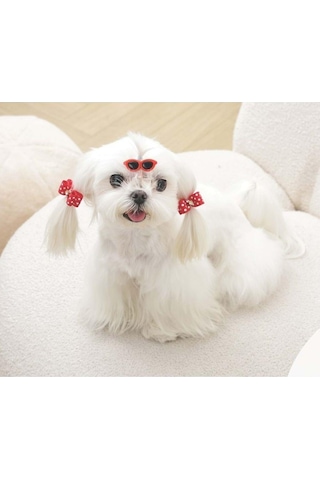 M-pets Glam Gözlük Ve Fiyonklu Kedi Ve Köpekler İçin Aksesuar Toka Kırmızı Mavi