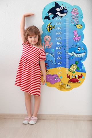 Okyanus Temalı Dekoratif Çocuk Boy Ölçer Sticker Duvar Cetveli Takip Çizelgesi