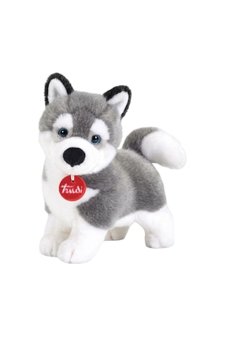 Trudi Husky Marcus M 22272 Çok Renkli