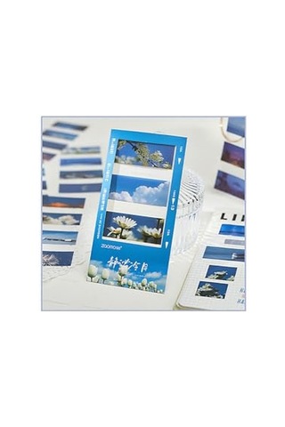 Nature Temalı 5 Farklı Dizayn Pet Index Index Sticker Post-it Sticky Note