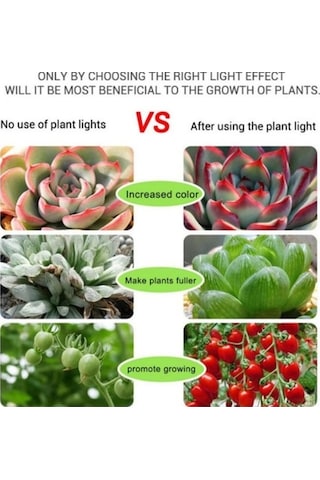 Pazly Yetiştirme Usb Tohumları Geniş Spektrumlu Şerit Sera Phyto Led Lamba İç Dc Çiçek Çadırı Bitki 5v 3m 2m 1m Qc 5m Waterproof