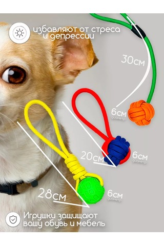 Zoolend Köpekler İçin 6'lı 1'de Oyuncak Seti 269544426