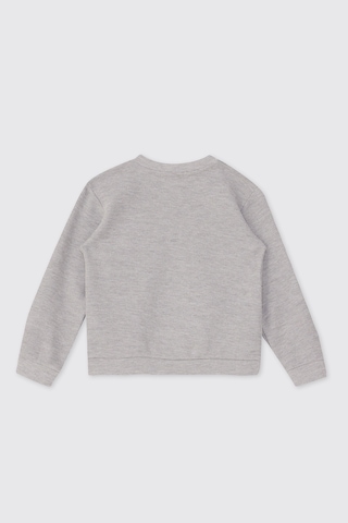 Panço Erkek Bebek Yakası Düğmeli Gri-melanj Sweatshirt
