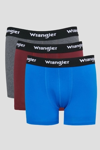 Wrangler Erkek Iç Çamaşır W222588900 Çok Renkli