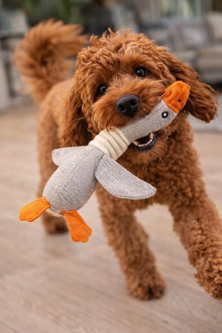 Busstier Kumaş Köpek Oyuncağı Sevimli Ördek Şekilli Ev Pet Oyunca