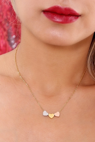 Kadın Mix Kalpli Çelik Kolye