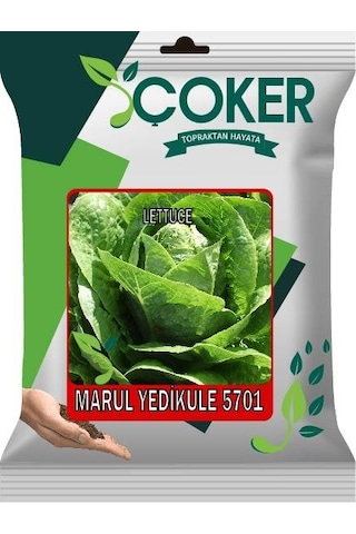 Çoker Marul Yedikule 5701 10 Gr