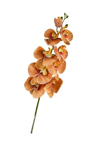 Yapay Çiçek Somon Rengi Islak Orkide Uzun Dal 90 Cm Orkide Çok Renkli