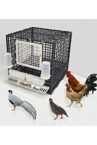 Leganest Tavuk Sülün Keklik Bantam İspenç Kafesi 62 x 62 x 62 CM