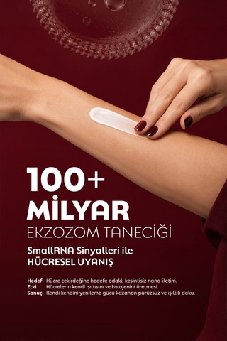 %4 Eksozom Kompleks Krem, Smallrna İle Güçlendirilmiş Gül Ve Çayırprensesi Eksozomları, Hücre Canlandırıcı, Derin Nem, Porselen Işıltısı, Şehir Detoksu, Post-op - 886551459
