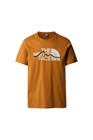 The North Face M Mountaın Lıne Erkek Tişört Nf0a87ntpco1 Kahverengi